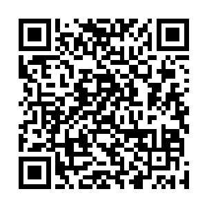 你刚才还在疑惑我们为什么会全不在意叶笑下手如此狠辣二维码生成