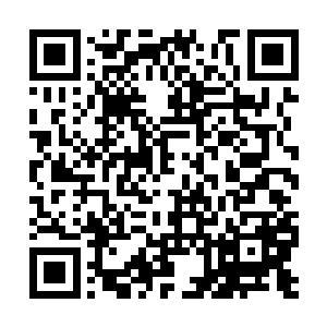 你刚来学校的时候因为没有教师资格证被学校停职二维码生成