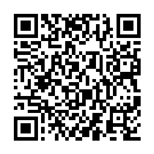 你别想从我嘴里得到哪怕一丁点你想知道的消息二维码生成