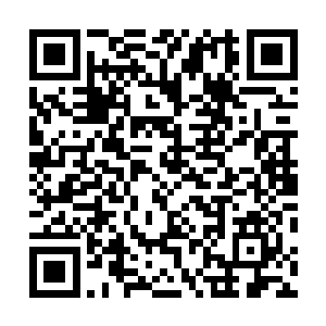 你别管我们赔得起赔不起……现在你的行李必须接受检查二维码生成