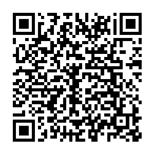 你到哪里能在短时间内弄到足够的兽皮和足够整个冬天食用的食物二维码生成