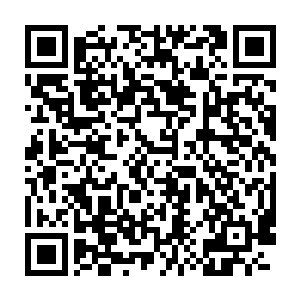 你到底是谁人为何要扮成我所念所想之人什么叫我扮成你所念所想之人二维码生成