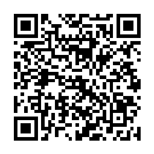 你到时候只要在城外找一个没人的地方挖过来就可以了二维码生成