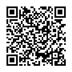 你前世明明只会泡方便面煮火腿肠再加几片生菜好不好二维码生成