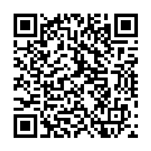 你前次又让我筹集一笔巨资给酉丁域跟着你活下来的手下二维码生成