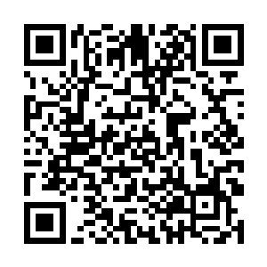 你却什么都不敢做――再说这些威胁的话有什么意义二维码生成