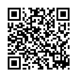 你去把你师弟们叫去我洞府里来认识认识墨墨二维码生成