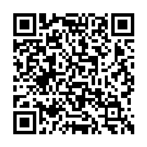 你又怎么可能控制住错误人格在脑域中跑来跑去二维码生成
