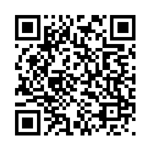 你又消耗青脉宝库里最后一份力量了二维码生成