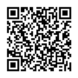 你变做龙的样子倒是比那个叫青零的杂种要好看多了二维码生成