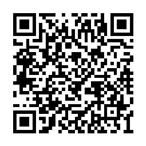 你只是从中等大陆而来的一个微不足道的小人物二维码生成
