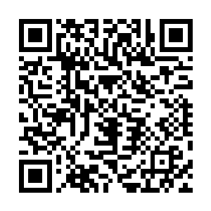 你只是区区一个仙露期的天仙怎么可能拿得住本官的官印二维码生成