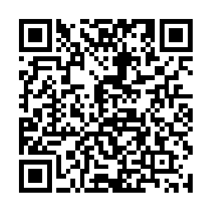 你只需用拇指和食指捏住令牌上那骑青牛的道者图案二维码生成