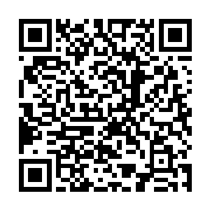 你只需要告诉陛下云峥打算效法三国周瑜赤壁旧事即可二维码生成