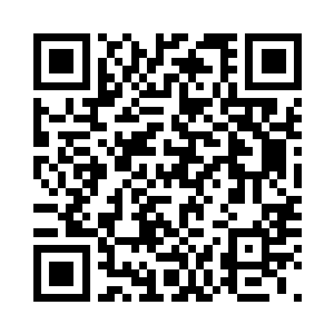 你只需要帮本尊照顾好少族长就可以二维码生成
