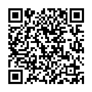 你叫一个熟练降龙十八掌的去教扎马步都扎不好的外行二维码生成