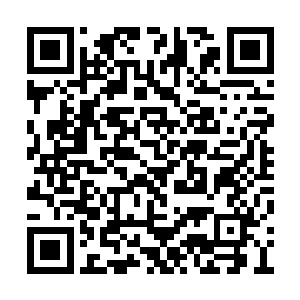 你叫我来……难道不是因为王老师打我的小报告二维码生成