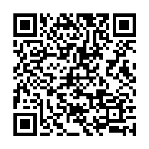 你可不要真的抱着打破独孤凌天大人的心思去历练二维码生成