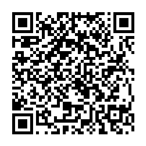 你可以与我的外交大臣哥尔查科夫以及陆军大臣托尔琴科夫进行磋商二维码生成
