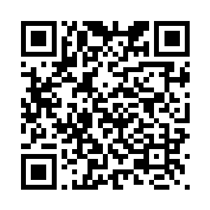 你可以与这些海洋动物进行交流了二维码生成