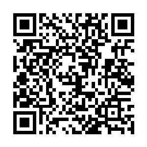 你可以凭借它随时进入水元素位面――如果有一天二维码生成