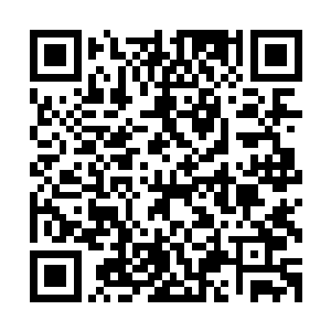 你可以和博纳多公司的顶级帆船设计师共同研究你想要的帆船二维码生成