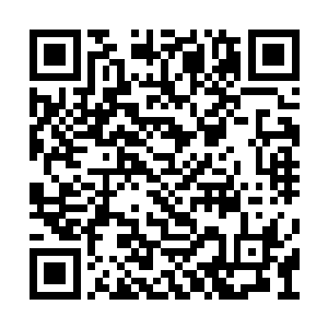 你可以尝试让自己的身体去吸收这些转移的分子二维码生成