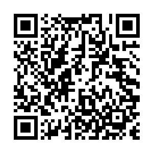 你可以短时间内在不超过二十英尺的直立墙面飞速行走二维码生成