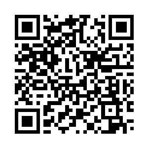 你可以随意将我和他装进灵兽袋里二维码生成