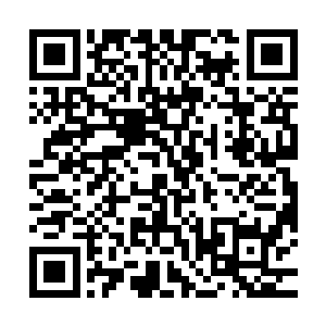 你可别告诉我你刻意的来找我就是为了和我在沙滩边上晒太阳吧二维码生成