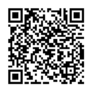 你可千万别以为我爹会像是那刘景升那般老弱无能二维码生成