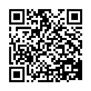 你可千万别把我伟大的努比斯给忘记了二维码生成