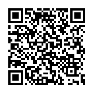 你可知秦皇国的国师为何会突然援助我格森王国二维码生成