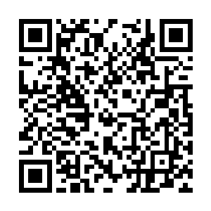 你可知道刚才被我大毒蜂吃的烤猪生前是什么实力二维码生成