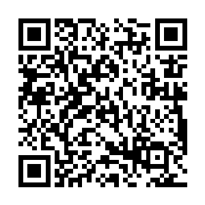 你可知道我这个当嫂嫂的是如何给皇后和薄太妃求情的二维码生成