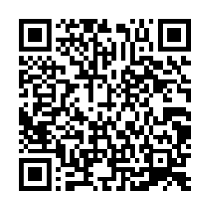 你可知道火焰八万余年来为什么没有人敢反抗宗内族人吗二维码生成
