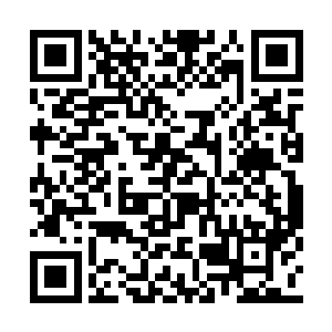 你可能会说姓陆的是不是有些站着说话不嫌腰疼二维码生成