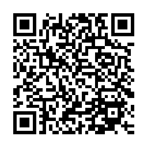 你可记得你爷爷年轻的时候在西南域里曾建立了一个什么势力二维码生成