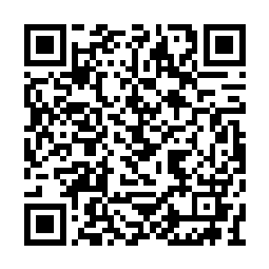 你君家年纪最小的弟弟都可以指着我的鼻尖骂我二维码生成