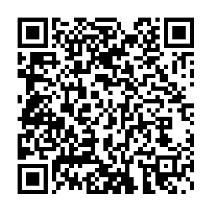 你和你的这位同伴最先来到这里把这里的上好药材席卷了十分之九二维码生成