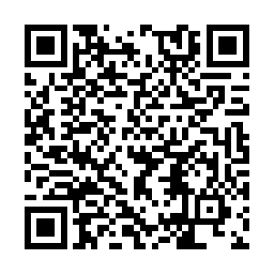 你和小伙伴们神气活现地拎着几十条死蛇回到村子二维码生成