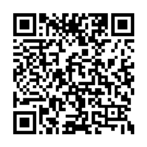 你和幽月姑娘成婚的地点该不会就在那座城里吧二维码生成