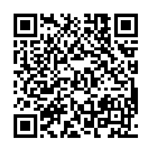 你和秀秀也都在车上……我相信罗迪不是贪生怕死的人二维码生成