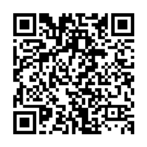 你和那绿衫子的小姑娘就是被这小虫钻进了鼻孔所以才昏昏睡去二维码生成