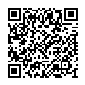 你和阿肆之间也有着太多我无法企及的美好回忆二维码生成