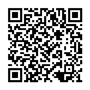 你哥今天早上出门的时候说今晚回来有事情宣布二维码生成