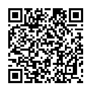 你喜欢我们家小烽不怎么刚刚看到徐老师和卿卿在争风吃醋二维码生成