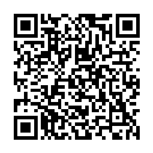 你在京都里让玲珑打理的那个药膳酒楼最近挺火的二维码生成