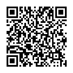 你在学校里利用我们兄弟和格力斯的矛盾算计格力斯我忍了二维码生成