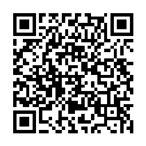 你在左司府邸没有顺势杀了我是你临时改变了主意二维码生成